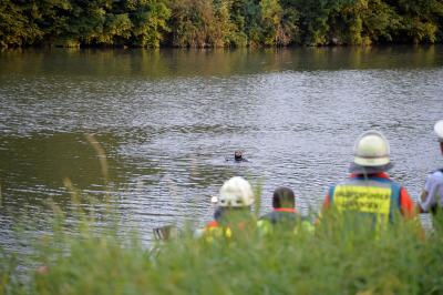 Aelteres Ehepaar faehrt in Neckar und stirbt in Benningen